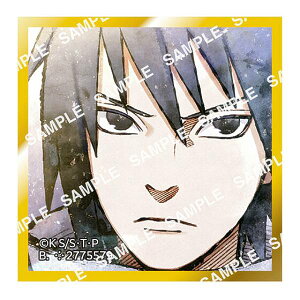 �y�����̓T�X�P�z���K�V���F�� NARUTO-�i���g- �����` ��O�e