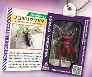 yB.mRMNK^z~j`AW{t}Ӄ}XRbg NK^V oCIbgtC