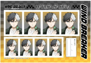 yy(B)zWIND BREAKER ؖʐ^ 2e