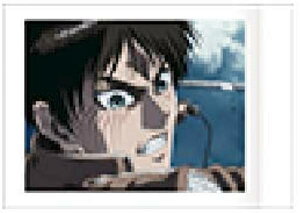 y28 GECF[K[zi̋l ςႱ