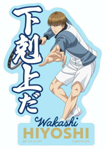 yg(Zt)zoCXebJ[RNV VejX̉ql