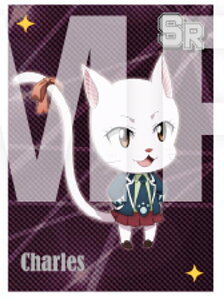 yV (X[p[A)zyMɁzFAIRY TAIL g[fBOJ[h