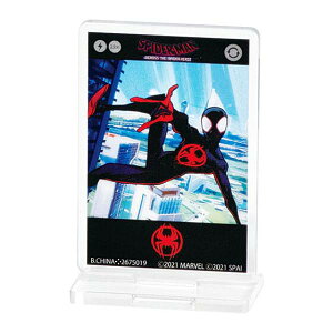 yfUCAzXpC_[}FANXEUEXpC_[o[X ANX^h