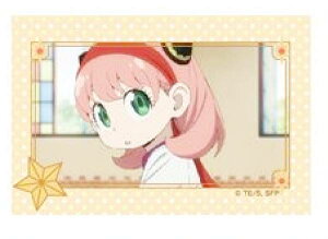 yA[jEtH[W[(̑)z SPY×FAMILY ʊʃobWRNV w