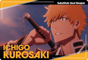 y01. (m[}J[h) z BLEACH EGn[X2