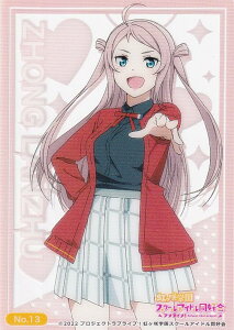 yNo.13  () z uV[h g[fBOJ[h RNVNA uCu!wXN[AChD