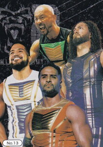 yNo.13 Guerrillas of Destinyz uV[h g[fBOJ[h RNV V{vX+STARDOM Vol.2