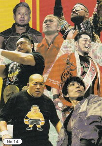 yNo.14 CHAOSz uV[h g[fBOJ[h RNV V{vX+STARDOM Vol.2