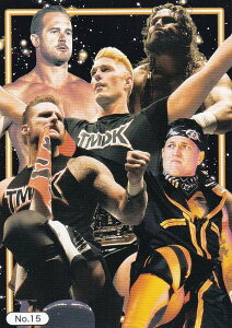 yNo.15 The Mighty Don't Kneelz uV[h g[fBOJ[h RNV V{vX+STARDOM Vol.2