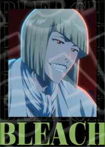 �y���q�^�q�z BLEACH ��N����� �C���X�^���g�t�H�g���u���}�C�h Vol.2