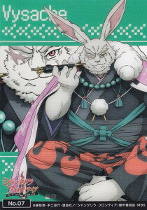 yNo.07 @CXAbVz uV[hg[fBOJ[h RNVNA TVAj VOEteBA