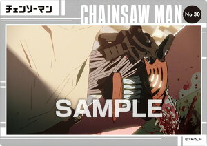 yNo.30 `F\[}z `F\[} NAJ[hRNVK J[ĥ