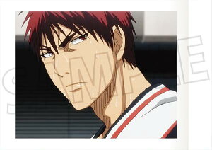 y16.ΐ_z q̃oXP ςႱ 2e