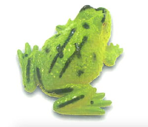 yJG}OlbgDz Ғœ ԃJG