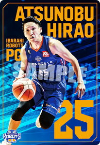 y08. [fz B.LEAGUE cCEGn[X