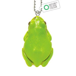 y܂Ԃ({[`F[^Cv)z lC`[eNjJ[MONO PLUS A}KG }Olbg&{[`F[