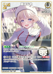 zCuItBVJ[hQ[ hBP03-015 ͂ (RR _uA) u[X^[pbN G[gXp[N (zCuOCG)