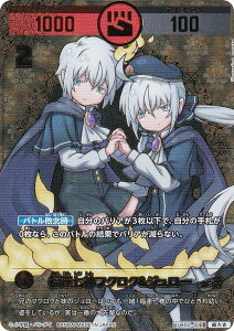 ypzJ^RVA UC02-011 ^_tNEW[ (g) u[X^[pbN (^l)K`ogH̊