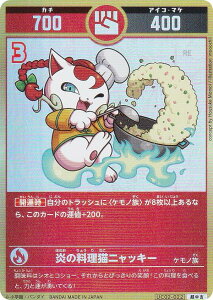 ypzJ^RVA UC02-022 ̗LjbL[ (g) u[X^[pbN (^l)K`ogH̊