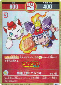 ypzJ^RVA UC02-028 ։^㏸IjbL[ (g) u[X^[pbN (^l)K`ogH̊