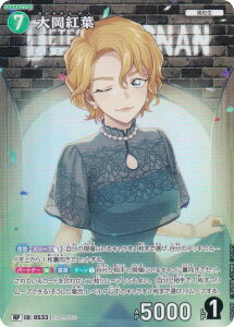 ypzTRiTCG NO.B05029P ID[0533] 剪gt (RP Ap) Case-Booster05 VȂ (CT-P05)