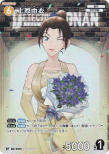 ypzTRiTCG NO.B05089P ID[0587] ㌴R (RP Ap) Case-Booster05 VȂ (CT-P05)