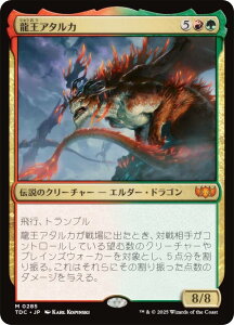 }WbNUMUO TDC JP 0285 A^J ({ _bA) ^L[F^  (MTG)