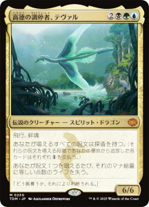 }WbNUMUO TDM JP 0230 ̒ҁAe@ ({ _bA) ^L[F^ (MTG)