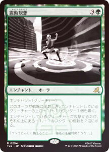 yFOILz}WbNUMUO TLE JP 0254 kϑz ({ A) Ao^[ `̏NA G^[igp\J[h (MTG)