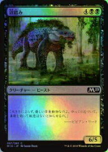 }WbNEUEMUO M19 JP 087 ({ŃR FOIL) {Zbg Core 2019 {bNX^ MTG