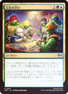�yFOIL�z�}�W�b�N�U�M���U�����O TMT JP 0155 �l���̊w�� (���{��� �A���R����) �~���[�^���g �^�[�g���Y (MTG)