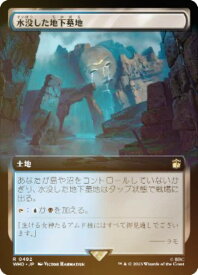 【FOIL】マジックザギャザリング WHO JP 0492 水没した地下墓地 (日本語版 レア) ドクター・フー MTG
