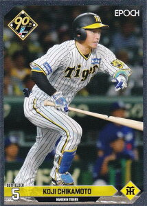 ygpzNPB v싅J[h 021 ߖ{i _^CK[X (CT[gJ[h) G|bN 2024