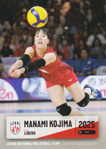 yRG31 ؔ (M[J[h)z o[{[q{\ 2025 g[fBOJ[h