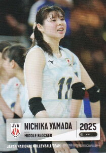 yRG44 Rc (M[J[h)z o[{[q{\ 2025 g[fBOJ[h