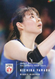 yRG45 Rc (M[J[h)z o[{[q{\ 2025 g[fBOJ[h