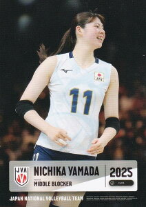 yRG48 Rc (M[J[h)z o[{[q{\ 2025 g[fBOJ[h