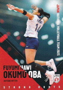 yRG63 IN~nEB (M[J[h)z o[{[q{\ 2025 g[fBOJ[h