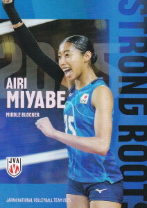 yRG68 { (M[J[h)z o[{[q{\ 2025 g[fBOJ[h