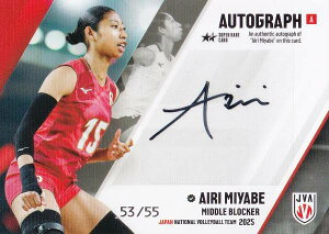 y[53/55] { (X[p[AJ[hFMTCJ[hA)z o[{[q{\ 2025 g[fBOJ[h