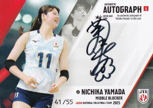 y[41/55] Rc (X[p[AJ[hFMTCJ[hA)z o[{[q{\ 2025 g[fBOJ[h