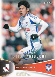 J[OItBVg[fBOJ[h 083 JCl ArbNXV (M[J[h) EPOCH 2025