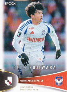 J[OItBVg[fBOJ[h 085 t ArbNXV (M[J[h) EPOCH 2025