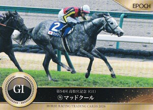 z[X[VO g[fBOJ[h 33 }bhN[ (M[J[h/2024N㔼dܗDn/{LO) G|bN `2024㔼Wҁ`