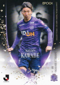 J[OItBVg[fBOJ[h 146 ӏx Ttb`FL (M[J[h) G|bN 2025 TbJ[{\ItBVg[fBOJ[h XyVGfBV