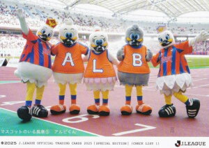 J[OItBVg[fBOJ[h 161 Ar (M[J[h/`FbNXg) G|bN 2025 TbJ[{\ItBVg[fBOJ[h XyVGfBV