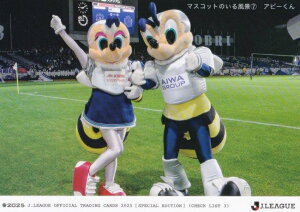 J[OItBVg[fBOJ[h 163 Ar[ (M[J[h/`FbNXg) G|bN 2025 TbJ[{\ItBVg[fBOJ[h XyVGfBV