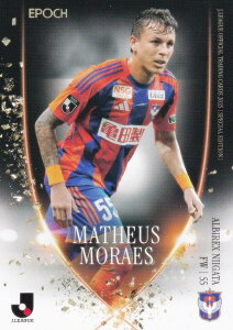 J[OItBVg[fBOJ[h AN55 }eEX GX ArbNXV (M[J[h/GNNXgJ[h) G|bN 2025 TbJ[{\ItBVg[fBO