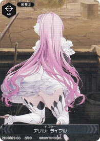 ニケ NK-0021-04 2/10 ドロシー アサルトライフル NIKKE DUEL ENCOUNTER ドロシー