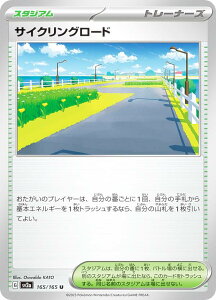 |PJ[hQ[ SV2a 165/165 TCNO[h X^WA (U AR) gpbN |PJ[h151